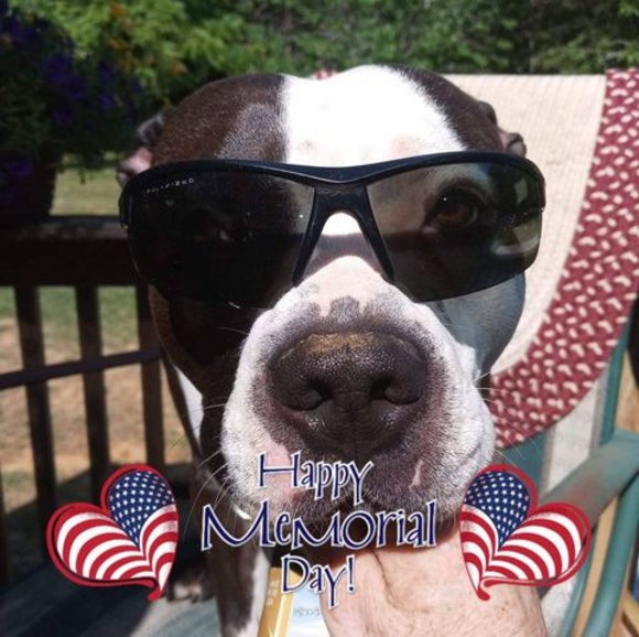 Meet your Posher, Danny - Picture 1 of 1